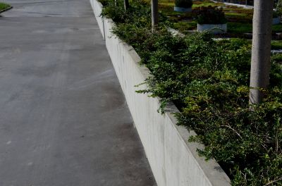 Concrete Decorative Edging